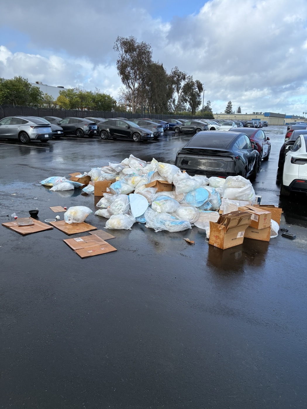 Commercial debris job Bay Area