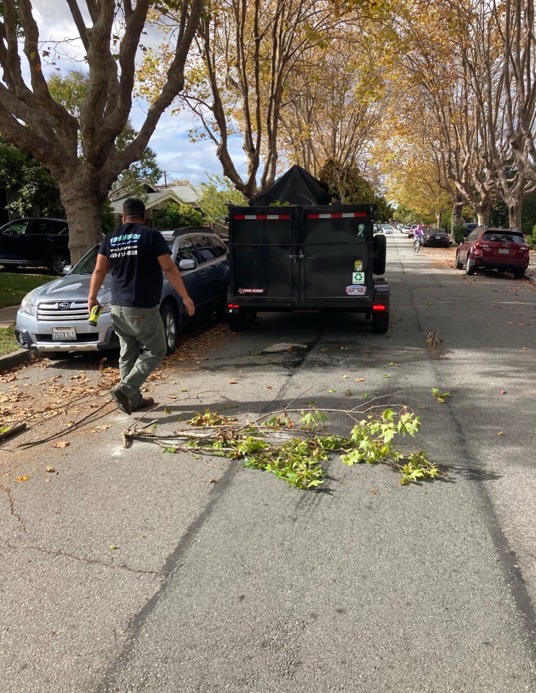 Junk N Bros yard waste removal